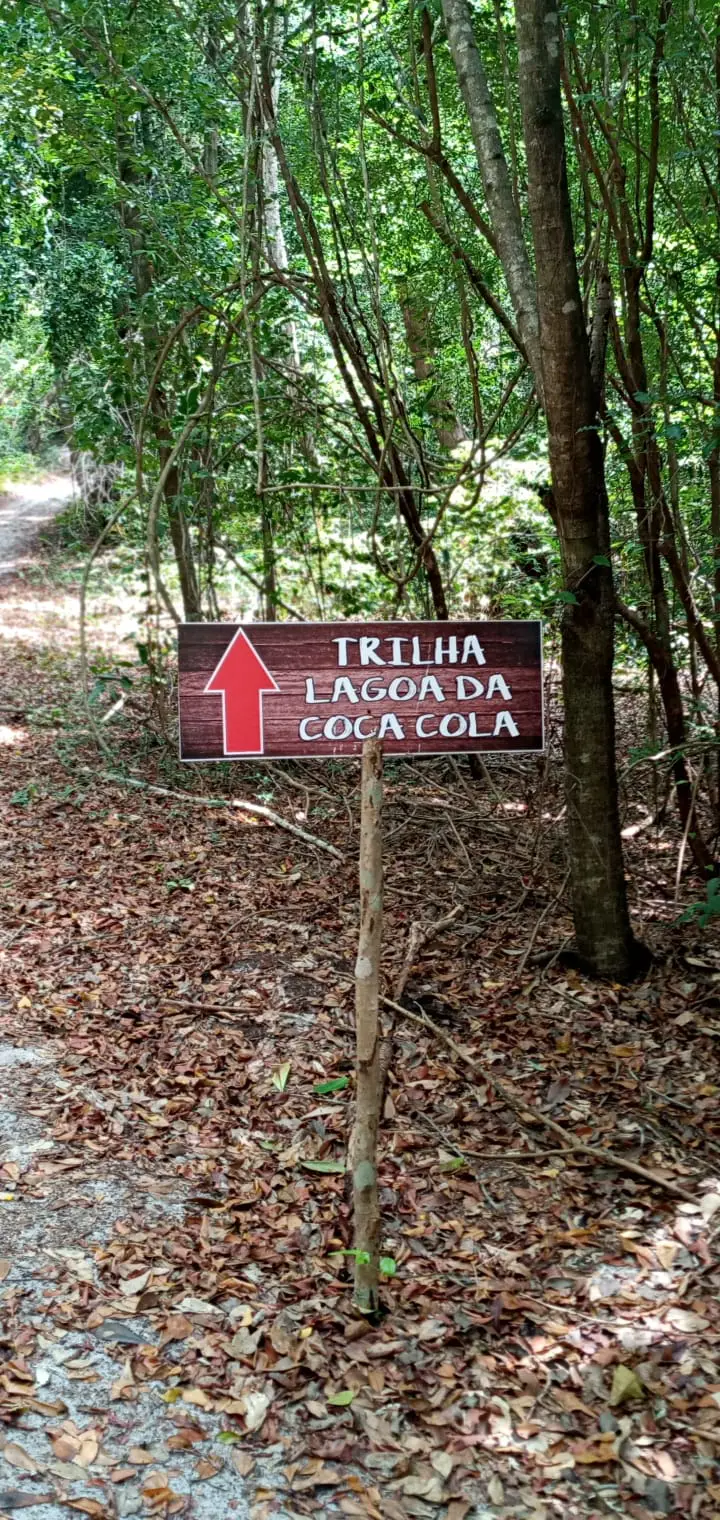 Caminhada na Mata — foto 2