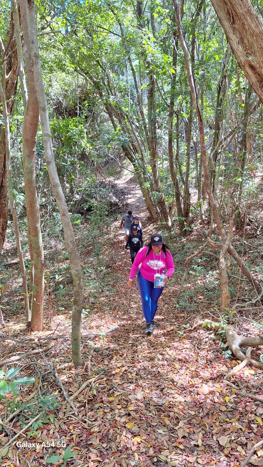 Caminhada na Mata — foto 3