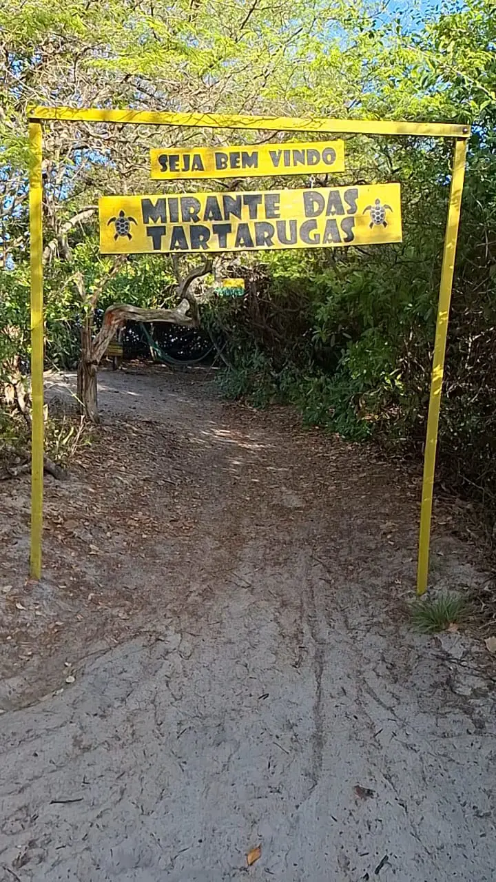 Caminhada na Mata — foto 6