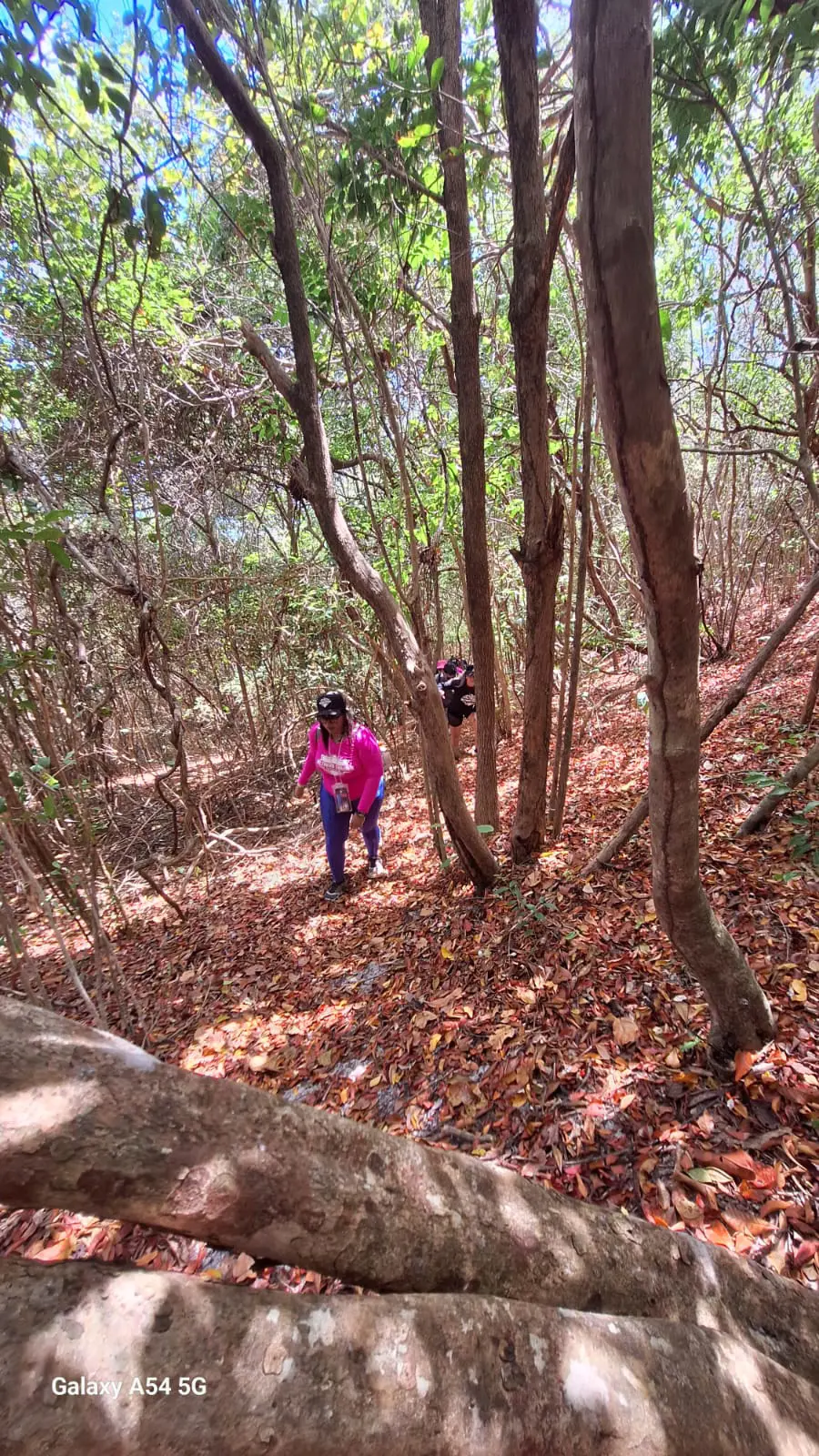 Caminhada na Mata — foto 10